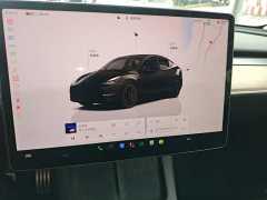 Tesla Model Y Performance All-Wheel Drive - ფოტო 12