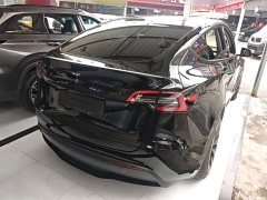 Tesla Model Y Performance All-Wheel Drive - ფოტო 6