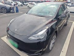 Tesla Model Y Standard Range RWD - ფოტო 1