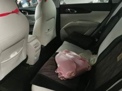 Geely Star Wish 310km Youth Edition - ფოტო 16