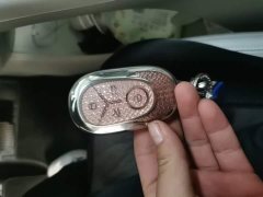 Geely Star Wish 310km Youth Edition - ფოტო 8