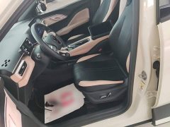 BYD Seagull Flying Edition - ფოტო 14