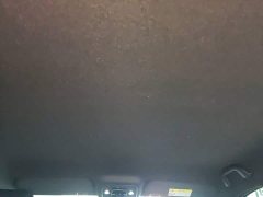 BYD Seagull Flying Edition - ფოტო 17