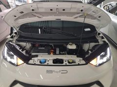 BYD Seagull Flying Edition - ფოტო 19
