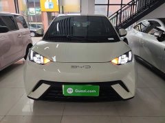 BYD Seagull Flying Edition - ფოტო 2
