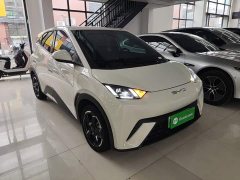 BYD Seagull Flying Edition - ფოტო 3