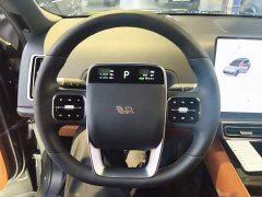 Li Auto L9 Max - ფოტო 10