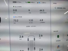 Li Auto L9 Max - ფოტო 11