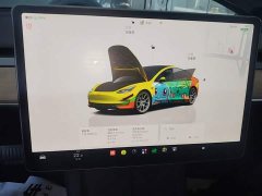 Tesla Model 3 Rear-Wheel Drive - ფოტო 11