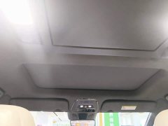 Zeekr 009 Seven-Seat Aisle Version 108kWh - ფოტო 17