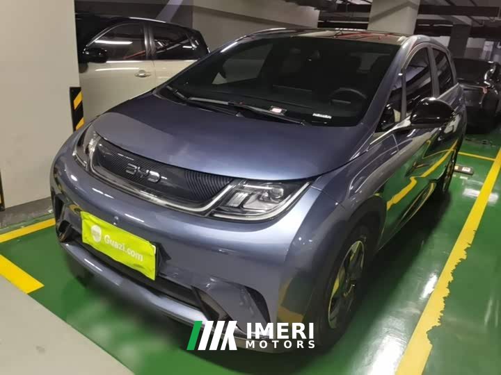 BYD Dolphin Glory Edition 420km Fashion Version