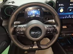 BYD Dolphin Glory Edition 420km Fashion Version - ფოტო 10
