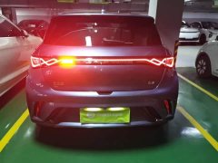 BYD Dolphin Glory Edition 420km Fashion Version - ფოტო 5
