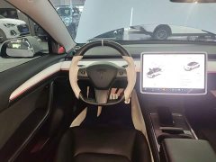 Tesla Model 3 Rear-Wheel Drive - ფოტო 10