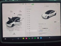 Tesla Model 3 Rear-Wheel Drive - ფოტო 11