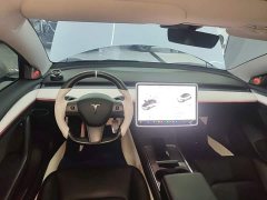 Tesla Model 3 Rear-Wheel Drive - ფოტო 9