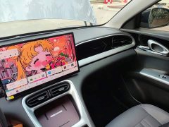 Geely Star Wish 310km Dream Edition - ფოტო 12