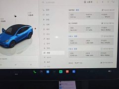 Tesla Model Y Long Range All-Wheel Drive - ფოტო 11