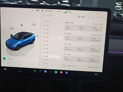 Tesla Model Y Long Range All-Wheel Drive - ფოტო 12