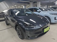 Tesla Model Y Long Range All-Wheel Drive - ფოტო 3