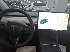 Tesla Model Y Long Range All-Wheel Drive - ფოტო 9