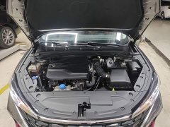 Changan Eado PLUS Blue Whale NE 1.4T GDI DCT High Performance Edition - ფოტო 19