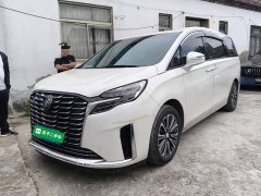 Buick GL8 ES Land Executive Luxury Enjoyable Edition - ფოტო 1