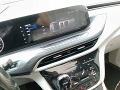 Buick GL8 ES Land Executive Luxury Enjoyable Edition - ფოტო 12