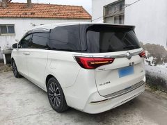 Buick GL8 ES Land Executive Luxury Enjoyable Edition - ფოტო 4