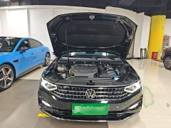 Volkswagen Magotan Zhongxiang 330TSI DSG Luxury - ფოტო 19
