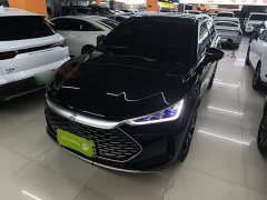 BYD Tang New Energy DM-i 115KM Premium Edition - ფოტო 1