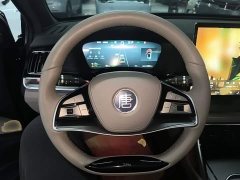 BYD Tang New Energy DM-i 115KM Premium Edition - ფოტო 10