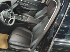 Buick Junyue 28T Platinum Edition - ფოტო 14