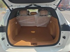 Dongfeng Fengshen L8 185KM Ideal Edition - ფოტო 18