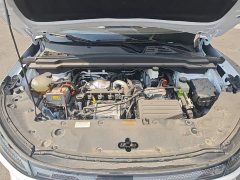 Dongfeng Fengshen L8 185KM Ideal Edition - ფოტო 19