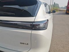 Dongfeng Fengshen L8 185KM Ideal Edition - ფოტო 7