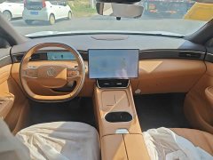 Dongfeng Fengshen L8 185KM Ideal Edition - ფოტო 9