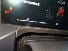 Tank 300 2021 Off-Road Edition 2.0T Conqueror - ფოტო 16
