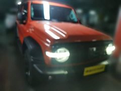 Tank 300 2021 Off-Road Edition 2.0T Conqueror - ფოტო 5