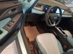 Geely Geometry E Firefly 301km Starlight - ფოტო 15
