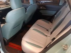 Geely Geometry E Firefly 301km Starlight - ფოტო 16