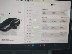 Tesla Model 3 2022 Rear-Wheel Drive - ფოტო 11