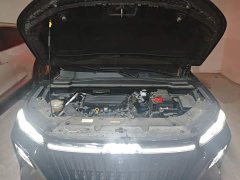 Dongfeng Haoji 2025 Mach Power 1.5T Luxury - ფოტო 9