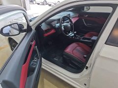 Dongfeng Yixuan 230T Automatic Shadow Knight Edition - ფოტო 15