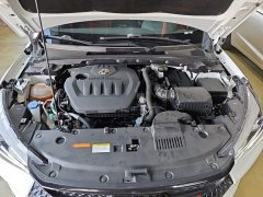Dongfeng Yixuan 230T Automatic Shadow Knight Edition - ფოტო 19