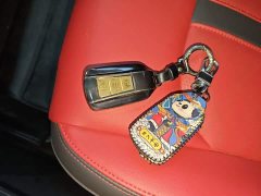 Dongfeng Yixuan 230T Automatic Shadow Knight Edition - ფოტო 8
