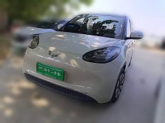 Wuling Binguo 333km Lingxi Connected Edition - ფოტო 1