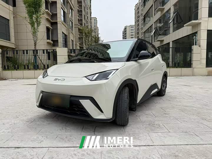 BYD Seagull 305km Freedom Edition - ავტომობილი ჩინეთიდან