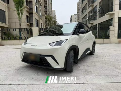 2025 BYD Seagull 305km Freedom Edition - ავტომობილი ჩინეთიდან
