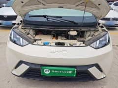 BYD Seagull 305km Freedom Edition - ფოტო 12